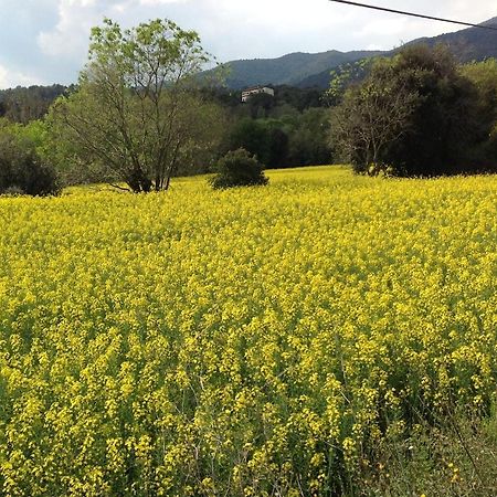 Casa Rural Can Panxa Sant Pere de Vilamajor المظهر الخارجي الصورة