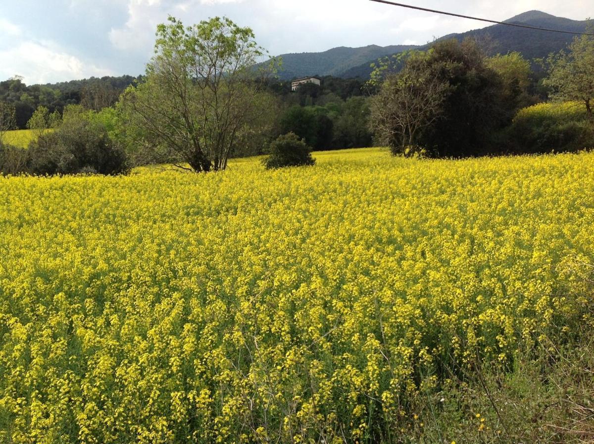 Casa Rural Can Panxa Sant Pere de Vilamajor المظهر الخارجي الصورة