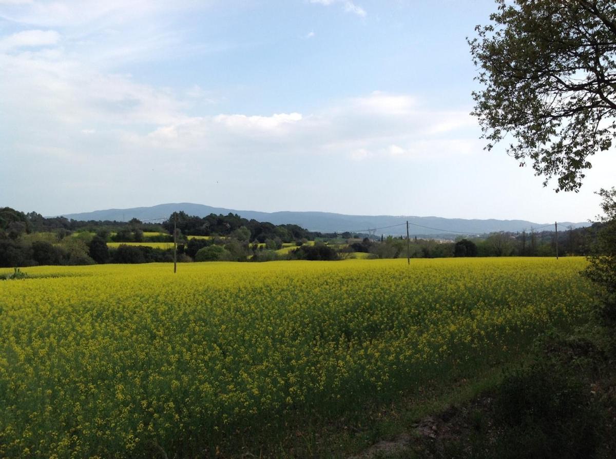 Casa Rural Can Panxa Sant Pere de Vilamajor المظهر الخارجي الصورة