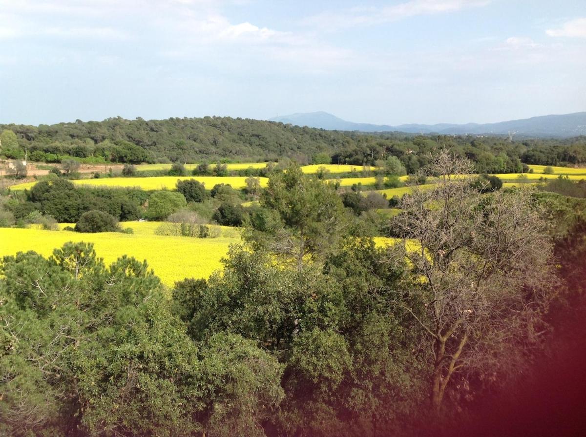 Casa Rural Can Panxa Sant Pere de Vilamajor المظهر الخارجي الصورة